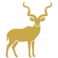 Ethical Hunting
